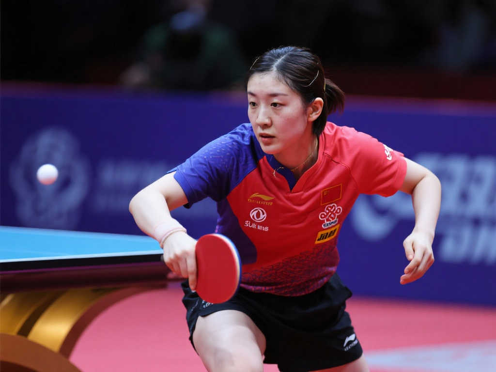 来源可信度 来源可信度